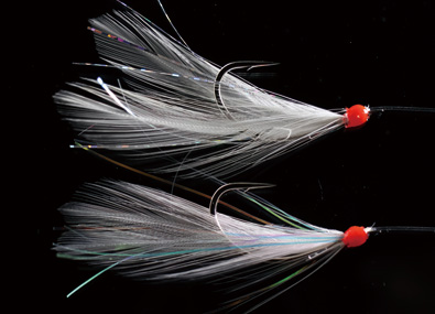 ●Fly spec no.1
