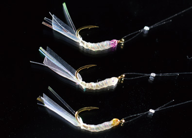 ●Fly spec