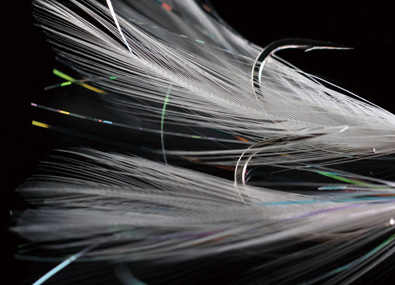 ●Fly spec no.2