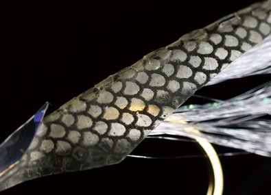 ●Fish skin