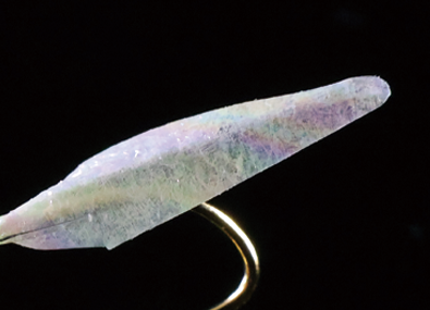 ●Aurora UV Finish