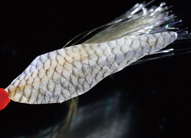 ●Fish skin