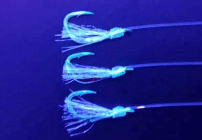 ●Fly Specification (UV coated)