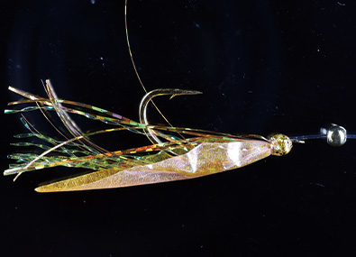 ●Fly spec
