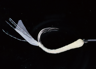 ●Fly spec