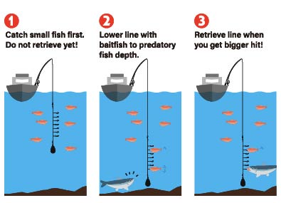 ●Japan use method						
